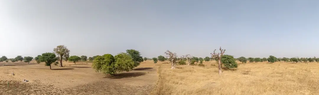 Semi-arid-landscape Semi-arid landscape just outside the FIA West Africa compound